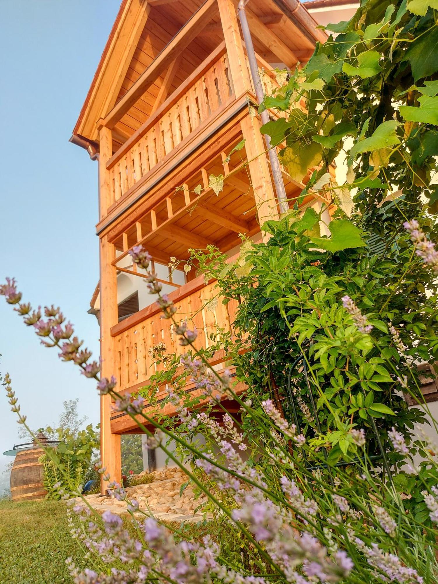 Apartament Sonnenhaus Grandl Feldbach  Zewnętrze zdjęcie