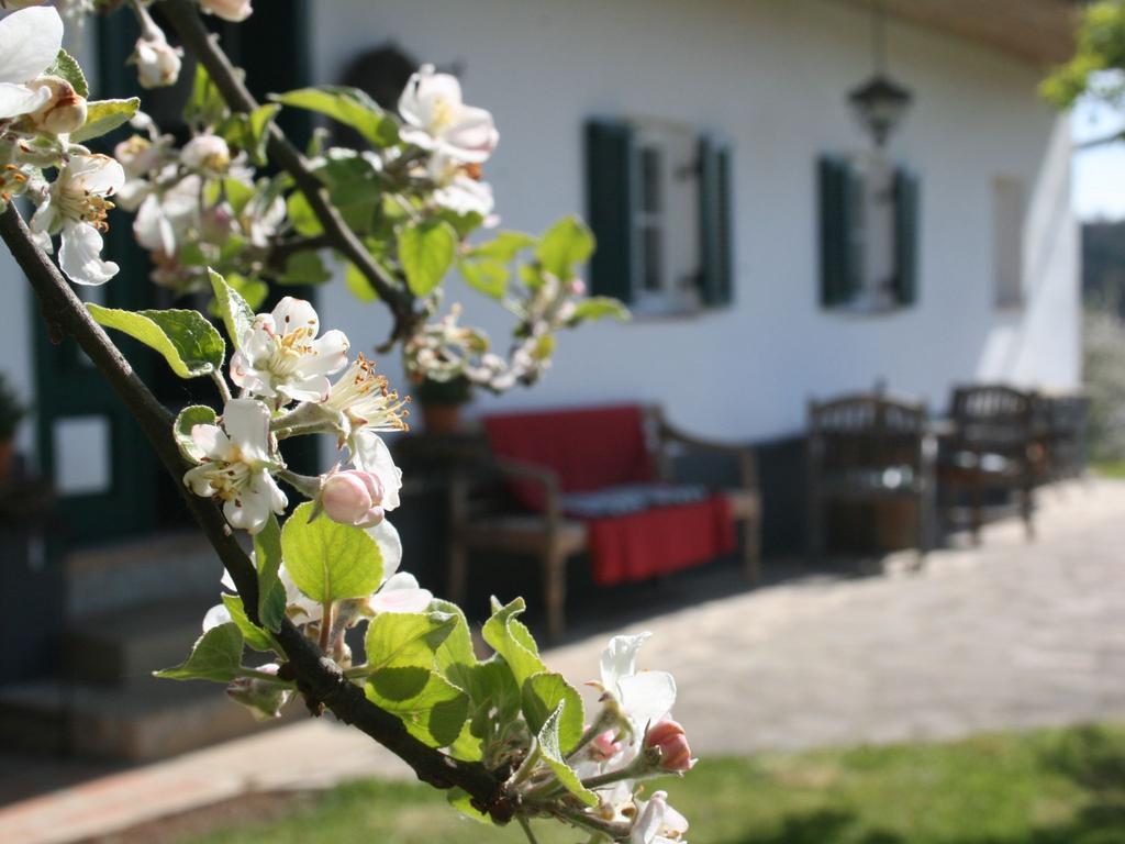Apartament Sonnenhaus Grandl Feldbach  Zewnętrze zdjęcie